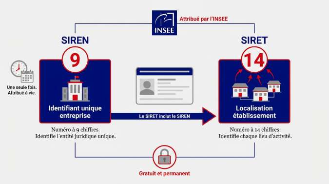 Infographie explicative comparant les structures des num&eacute;ros SIREN et SIRET